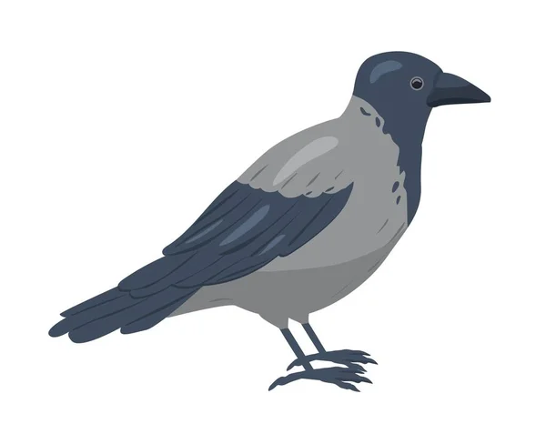 Uccello Grigio Personaggio Adorabile Con Ali Piume Colorazione Scura Fauna — Vettoriale Stock
