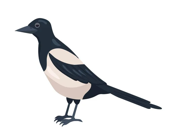 Міський Чорно Білий Птах Іграшка Або Талісман Дітей Освітній Елемент — стоковий вектор