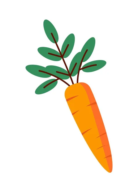 農場の人参アイコン 天然および有機製品 野菜やビタミン 菜食主義 健康的な食事と適切な栄養 ソーシャルネットワークやメッセンジャーのための粘着性 漫画フラットベクトルイラスト — ストックベクタ
