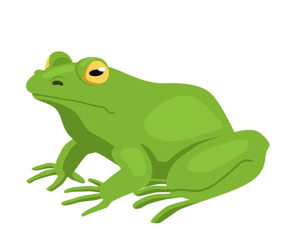 Значок Зеленой Лягушки Наклейка Социальных Сетей Мессенджеров Болотная Ящерица Большим — стоковый вектор