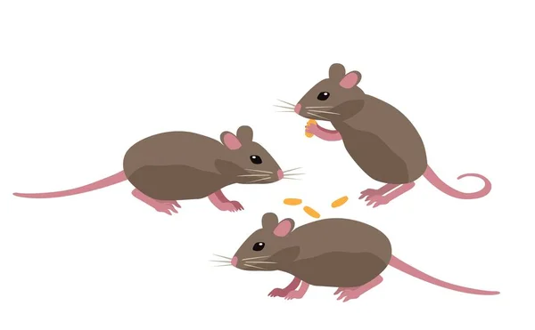 Τρεις Εικόνες Ποντικιών Αρουραίοι Τρώνε Σπόρους Ραβδιά Καλαμποκιού Κομμάτια Τυριού — Διανυσματικό Αρχείο