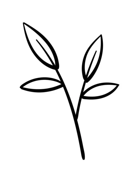 手绘树枝植物学和花卉学 生物学 对自然和环境的热爱 对植物的关心 印在织物上的图形元件 海报或横幅 卡通平面矢量插图 — 图库矢量图片