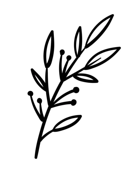 手绘树枝用于在织物 海报或网站横幅上打印的图形元素 植物学和花卉学 关心自然和环境 对植物的爱卡通平面矢量插图 — 图库矢量图片