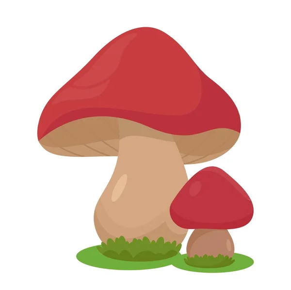 Cogumelos Vermelhos Bonitos Produtos Florestais Naturais Orgânicos Cartaz Banner Para —  Vetores de Stock