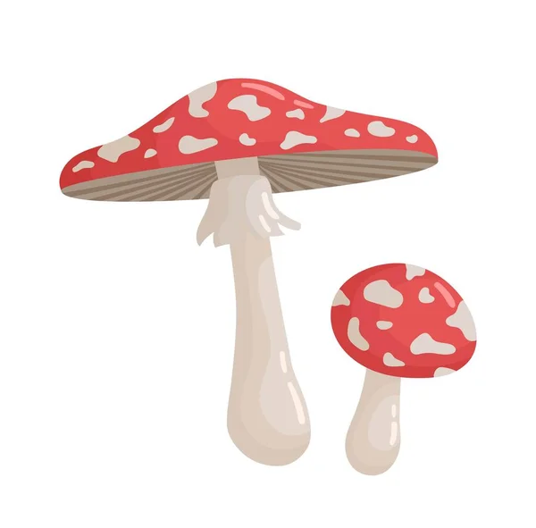 Cogumelos Vermelhos Brancos Ícone Dois Ícones Agaric Mosca Elemento Gráfico — Vetor de Stock