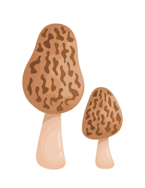 Orange Mushrooms Icon Healthy Food Balanced Nutrition Vegetarian Diet Graphic — Stock Vector
