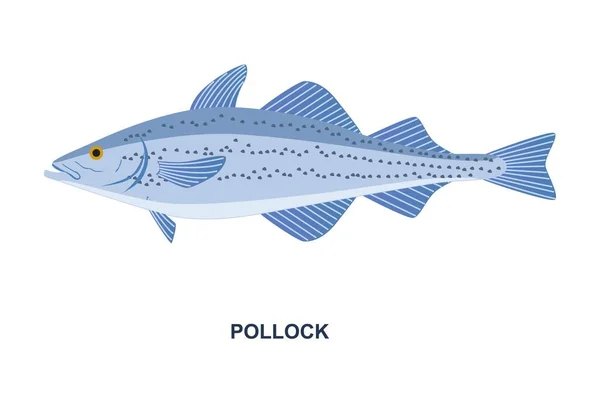 Река Морская Рыба Рыбалка Ловля Вкусных Морепродуктов Голубой Поллок Пятнами — стоковый вектор