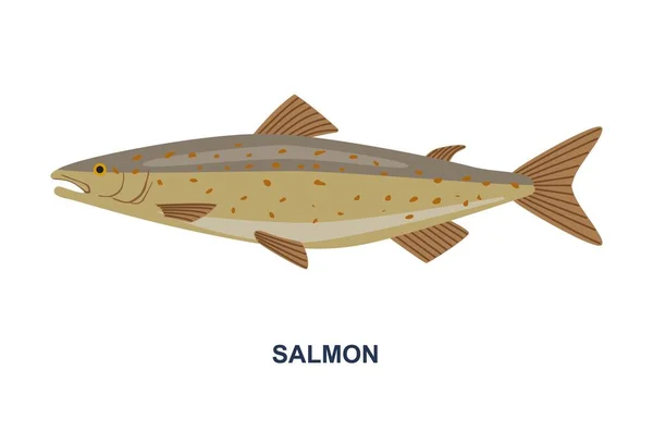 River Sea Fish Sticker Spotted Salmon Aquatic Animal Fishing Catching — Stock Vector