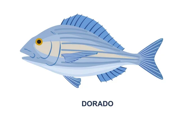 River Sea Fish Exotic Sea Animal Cooking Dorado Shiny Golden — Stock Vector