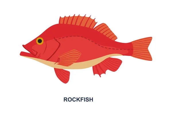 River Sea Fish Poster Beautiful Red Fish Inscription Rockfish Bright — Stock Vector