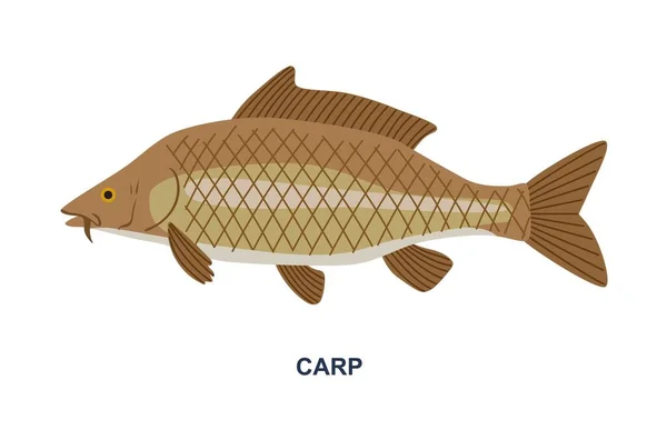 River Sea Fish Sticker Large Brown Carp Checkered Scales Fishing — Stock Vector