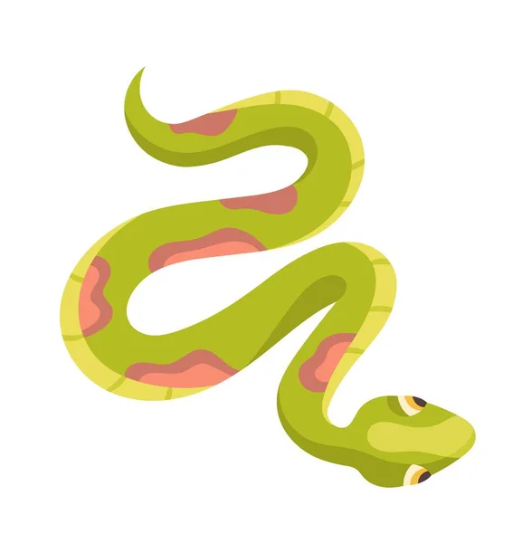 Niedliche Schlangensymbol Afrikanische Savanne Wildes Leben Und Biologie Raubtier Und — Stockvektor