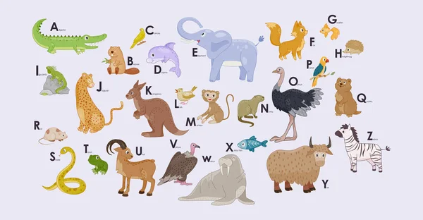 Słodkie Dzikie Zwierzęta Alfabetu Plakat Edukacyjny Dla Dzieci Literami Obrazami — Wektor stockowy