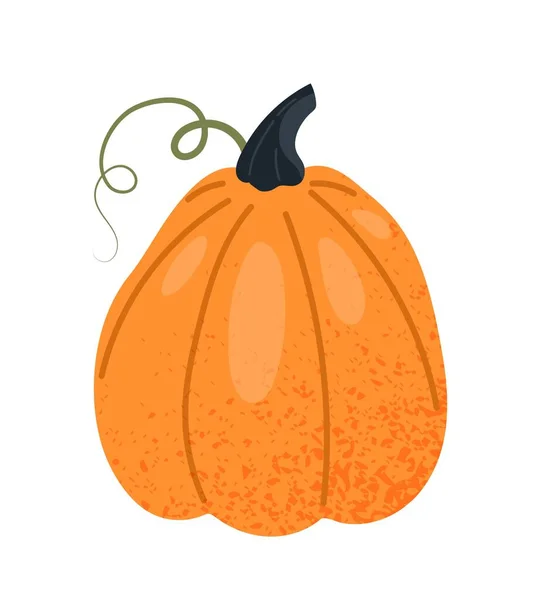 オレンジのカボチャのアイコン ウェブサイトのグラフィック要素 会社と組織 ブランディングのためのロゴタイプ 健康管理 適切な栄養と菜食主義の食事の概念 漫画フラットベクトルイラスト — ストックベクタ