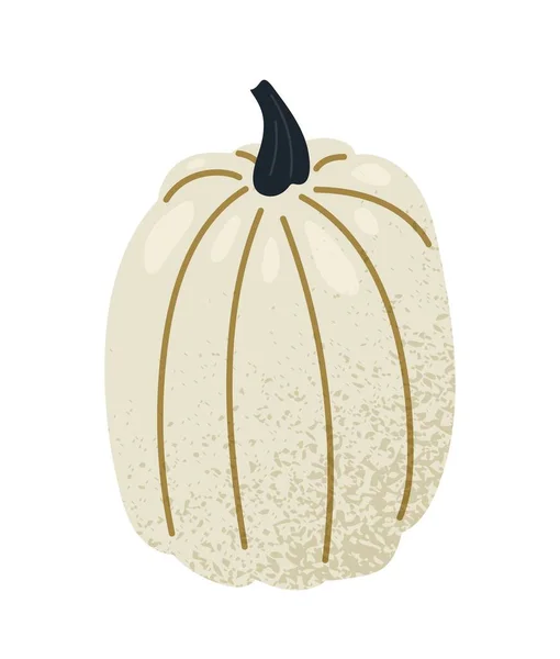Icono Calabaza Blanca Elemento Gráfico Para Sitio Web Halloween Fiesta — Vector de stock