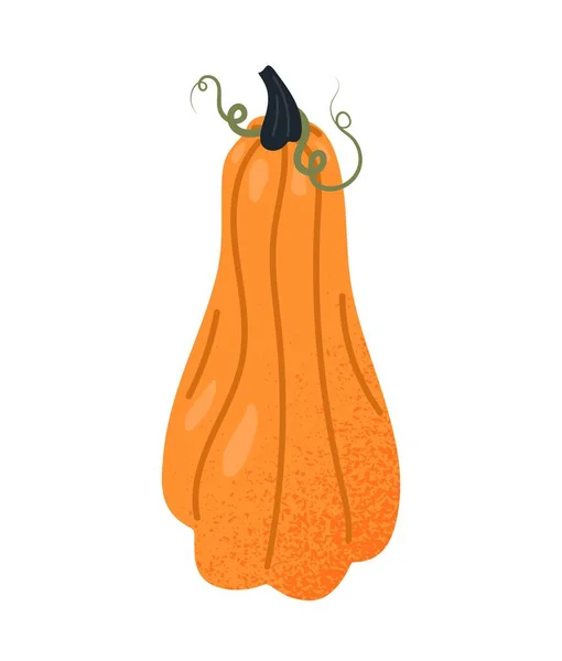 Icône Citrouille Orange Sticker Pour Les Réseaux Sociaux Les Messagers — Image vectorielle