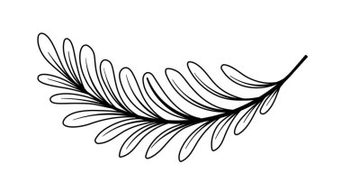 Çizgi sanat dalı. Ağaç ya da çalılığın bir parçası. Bahçe ve orman. El çizimi ve taslak. Yaz ve bahar ormanı. Web sitesi afişi ya da afişi. Çizgi film düz vektör çizimi