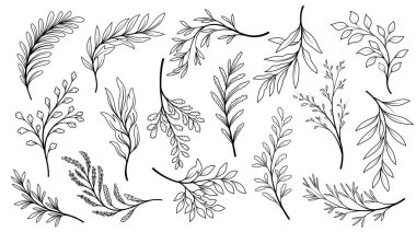 Çizgili sanat seti. Web sitesi için grafik elementlerin toplanması. Botanik ve çiçekçilik, çiçek dalları ve çiçek açan bitkiler. Beyaz arkaplanda izole edilmiş çizgi film düz vektör çizimleri