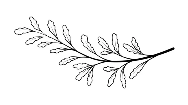Branche Art Linéaire Nature Flore Botanique Floristique Symbole Des Saisons — Image vectorielle