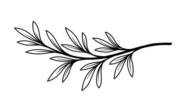 线条艺术分支 情人节和婚礼花束的一部分 标志和标识 植物学和花卉学 自然与环境 卡通平面矢量插图 — 图库矢量图片