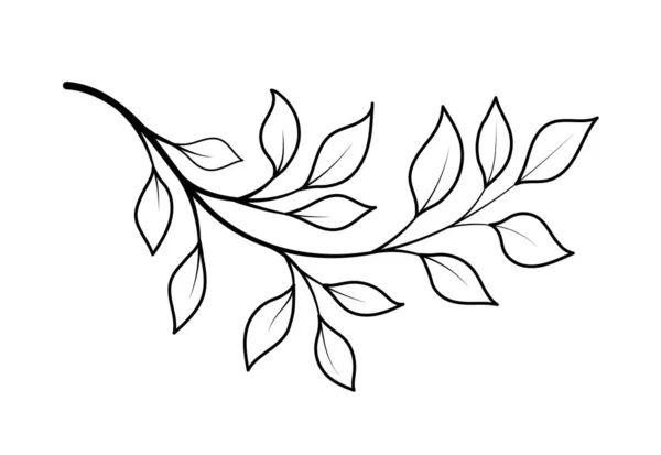 Линейное Искусство Листья Тропических Растений Экзотических Цветов Кустарников Эстетика Элегантность — стоковый вектор