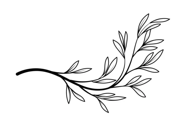 Линейное Искусство Сад Лес Тропическими Растениями Ручной Рисунок Контур Тонкая — стоковый вектор