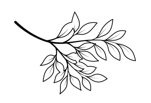 线条艺术分支 棕榈叶和叶子 园中的一部分树 纹身用的素描手绘的丛林和森林 生物学 植物学和花卉学 卡通平面矢量插图 — 图库矢量图片