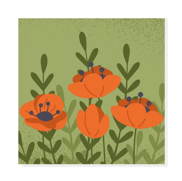 Red Poppies Poster Flowers Nature Floristry Botany Graphic Element Website — Stock Vector