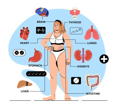 Vücut anatomisi konsepti. İç çamaşırlı kadın iç organ simgelerinin yanında duruyor. Bilgi grafikleri ve veri görselleştirmesi. Karın, kalp, akciğer, karaciğer ve böbrekler. Çizgi film düz vektör çizimi