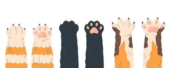 猫的爪子设置 五彩缤纷的小猫和宠物 各种可爱的有爪子的小猫咪腿 迷人的毛茸茸的脚步声 在白色背景上孤立的卡通平面矢量插图 — 图库矢量图片