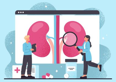 Loupe 'lu doktor nefrologlar. Üniformalı kadın ve adam böbrekleri büyüteçle inceliyor. Teşhis ve tedavi yöntemi seçimi, sağlık hizmetleri, anatomi. Çizgi film düz vektör çizimi
