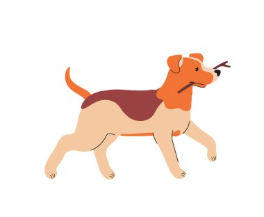 Sevimli evcil hayvan. Açık havada ya da parkta oynayan benekli, güzel bir köpek etiketi. Eğitimli köpek yavrusu dal getirir. Aktif evcil hayvan. Çizgi film düz vektör çizimi beyaz arkaplanda izole edildi