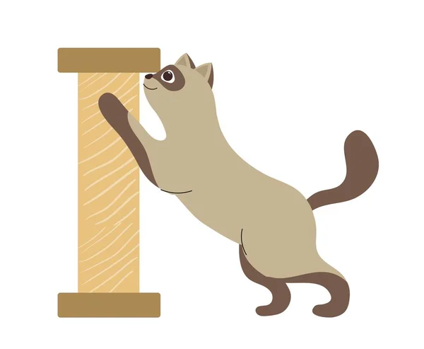Schattig Huisdier Sticker Met Siamese Kat Slijpen Zijn Klauwen Met — Stockvector