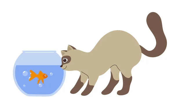 Mignon Animal Domestique Sticker Avec Drôle Chat Adolescent Moelleux Regardant — Image vectorielle