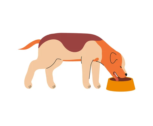 Lindo Animal Doméstico Etiqueta Engomada Con Divertido Cachorro Adolescente Comiendo — Archivo Imágenes Vectoriales