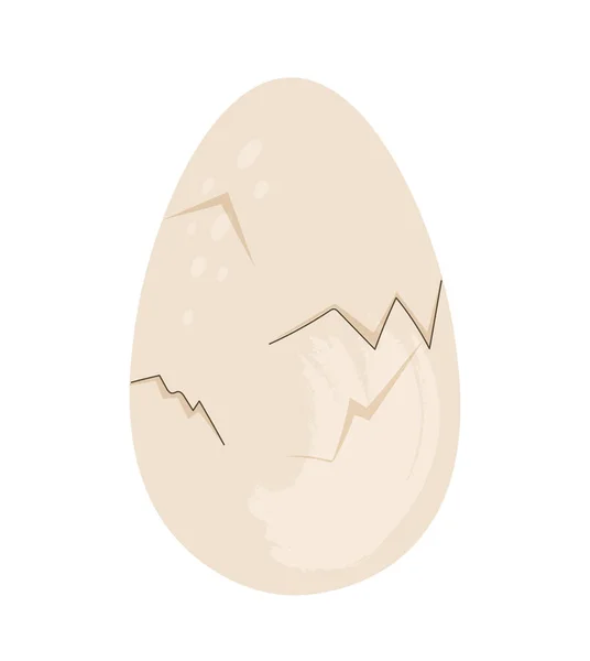 Kırık Tavuk Yumurtası Kabuklu Doğal Organik Ürün Tavuğun Doğuş Aşamaları — Stok Vektör