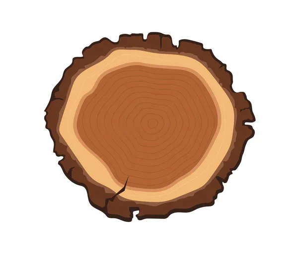 Wood Slice Concept Log Trunk Top View Tree Material Construction — Stock Vector