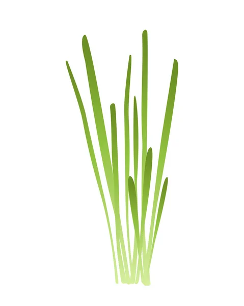 Πράσινα Λαχανάκια Μικροπράσινο Έννοια Χόρτο Στοιχείο Τοπίου Γεωργία Και Γεωργία — Διανυσματικό Αρχείο