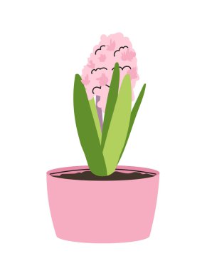 Esrar konseptinde çiçek. İç mekan ve dekor elementi. Estetik ve zarafet. 8 Mart için romantik bir hediye. Estetik ve zarafet. Çizgi film düz vektör çizimi beyaz arkaplanda izole edildi