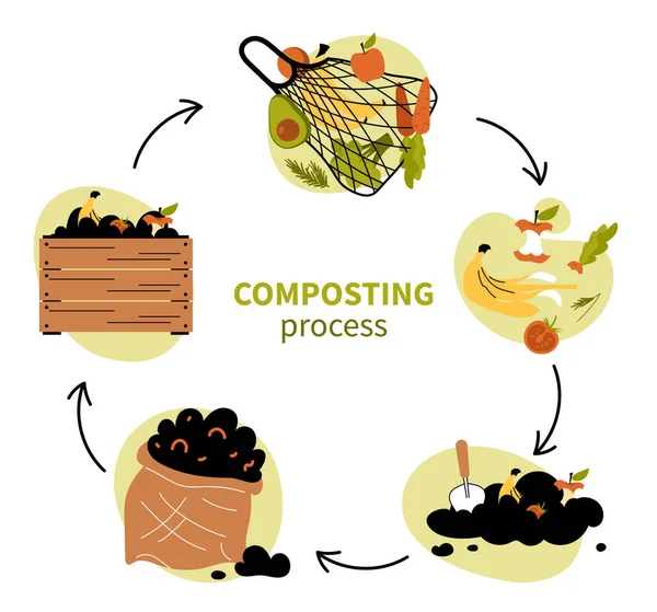 Concepto Infográfico Del Ciclo Del Compost Biología Naturaleza Reciclaje Eliminación — Archivo Imágenes Vectoriales