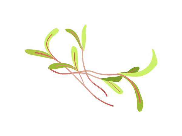 常绿芽的概念 植物和花卉 有机产品 生物和花卉 社交媒体贴纸 在白色背景上孤立的卡通平面矢量图解 — 图库矢量图片