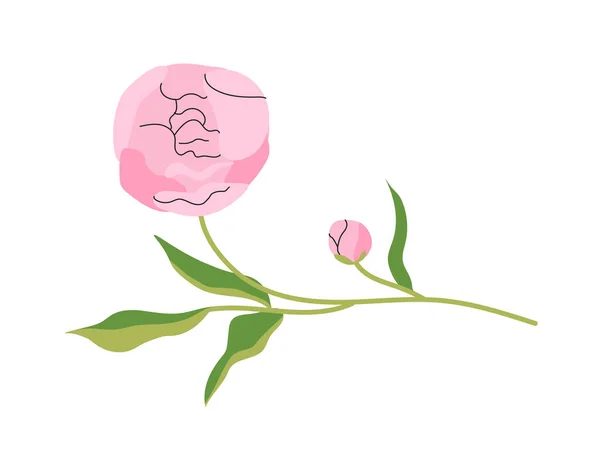 Conceito Peônia Elegante Rosa Linda Flor Símbolo Estações Verão Primavera — Vetor de Stock
