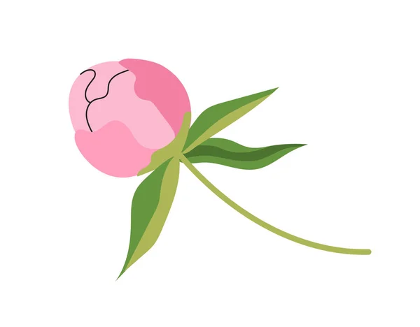 Conceito Peônia Elegante Rosa Bela Flor Planta Botânica Floricultura Presente — Vetor de Stock