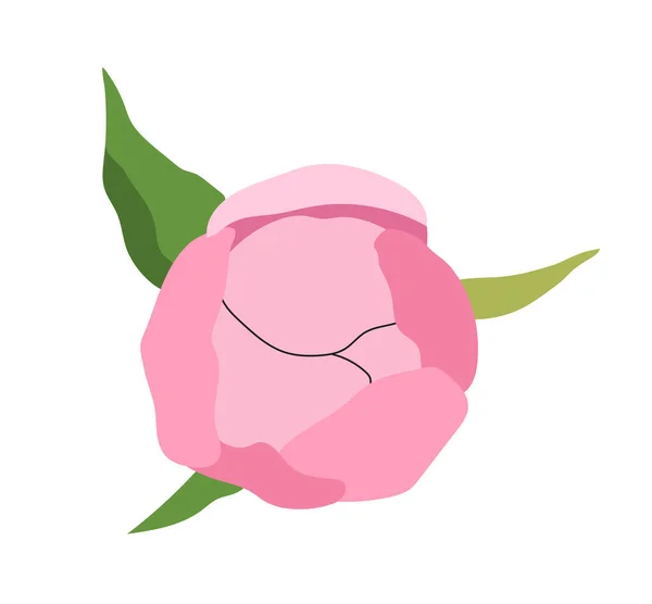 Concepto Peonía Elegante Rosa Regalo Romántico Para Día San Valentín — Archivo Imágenes Vectoriales