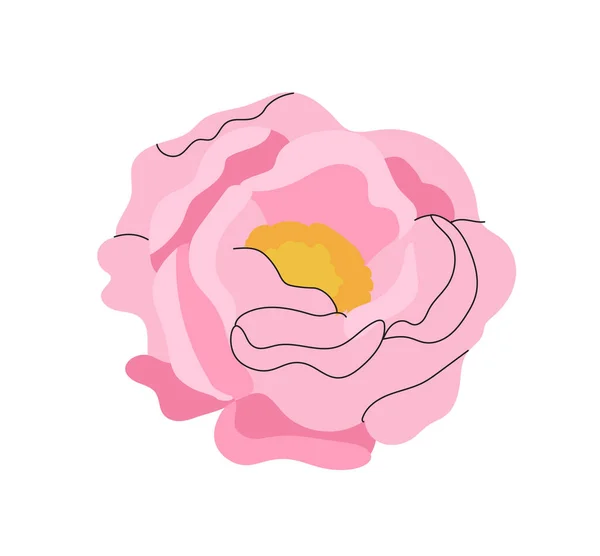 Concept Pivoine Rose Élégant Belle Fleur Floristique Botanique Horticulture Cadeau — Image vectorielle