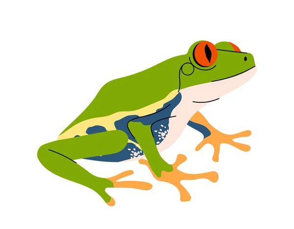 热带彩色青蛙的概念 有长舌的异国蜥蜴 丛林和热带雨林动物和野生动物 海报或横幅 在白色背景上孤立的卡通平面矢量图解 — 图库矢量图片