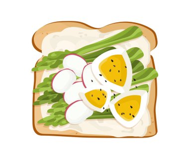 Kahvaltı tostu üst görüş konsepti. Yumurtalı kızarmış ekmek, turp ve marul. Sağlıklı beslenme, düzgün beslenme, diyet. Çizgi film düz vektör çizimi beyaz arkaplanda izole edildi