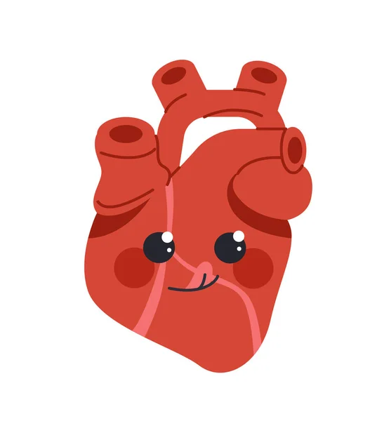 Roztomilý Koncept Lidského Srdce Biologie Anatomie Fyziologie Iternal Organ Kawaii — Stockový vektor