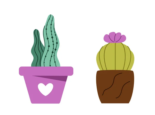 Succulents Flowerpots Set Cactus Pink Brown Flowerpots Decor Interior Elements — Stock Vector
