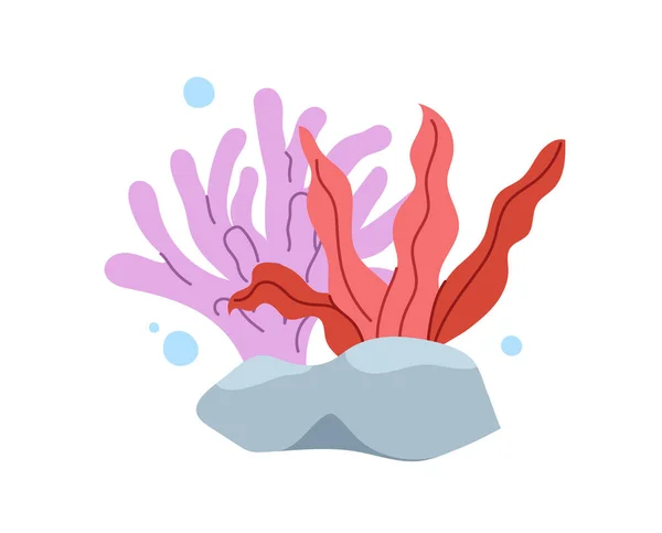 Korallen Mit Felsen Konzept Bunte Pflanzen Mit Blasen Unterwasser Und — Stockvektor